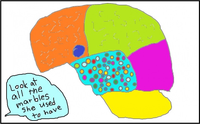 brain w marbles