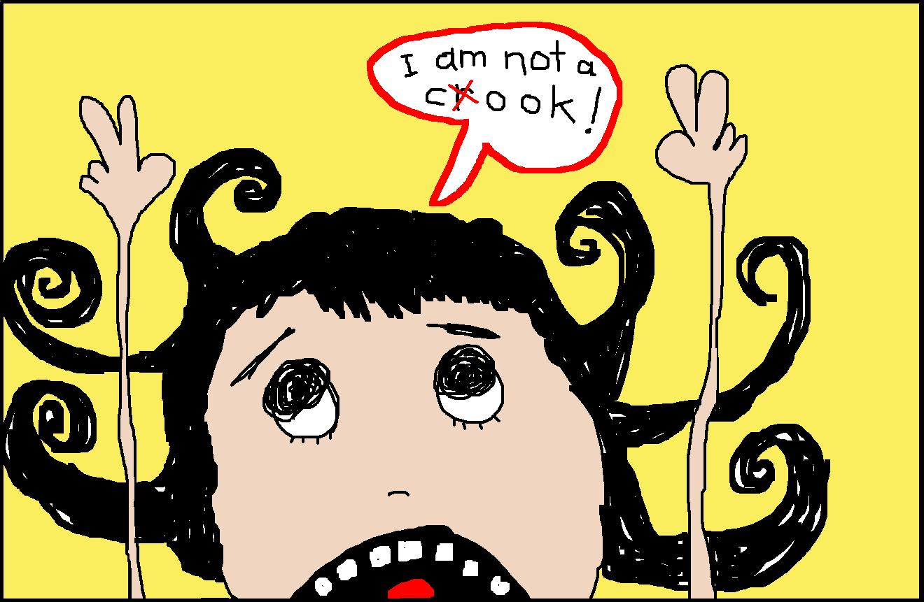 I am not a cook